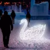 Лебедь Серебряный