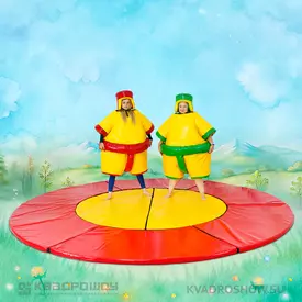 Костюм Сумо и татами
