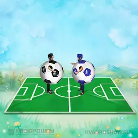 Игровой реквизит Сумо футбол